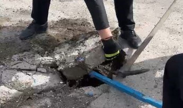 Yağmur suyu hattına düşen yavru ördek kurtarıldı