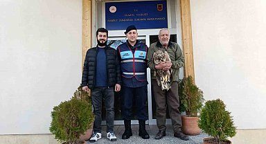 Yaralı kaya kartalına jandarma şefkati