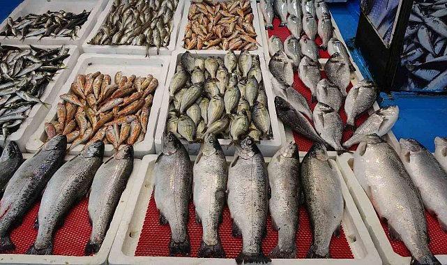 Yasak başladı, tezgâhlar onlara kaldı