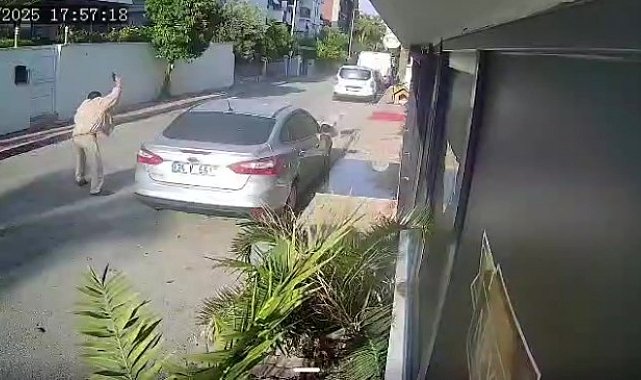 Yaşlı adam kendisine saldıran köpeği vurdu