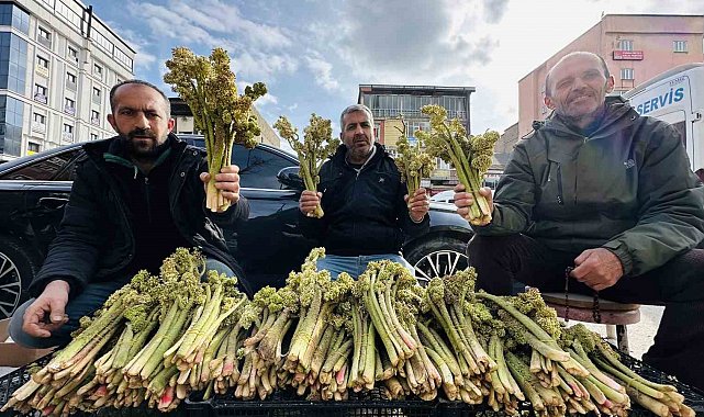 Yayla muzunun destesi 100 TL'den satışa çıkarıldı