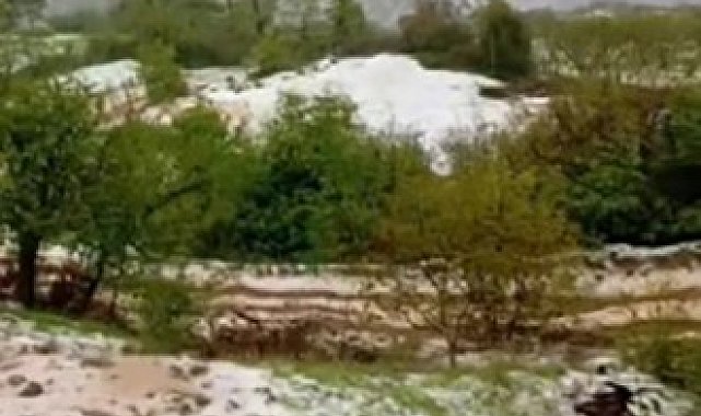 Yaz geldi derken, İzmir Ödemiş beyaza büründü