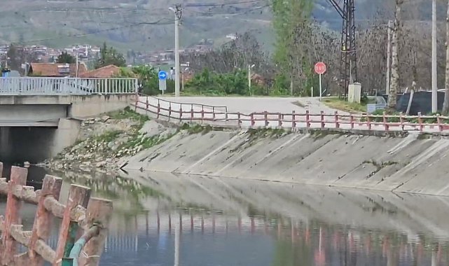 Yeşilırmak Nehri'nde balık ölümleri incelemeye alındı
