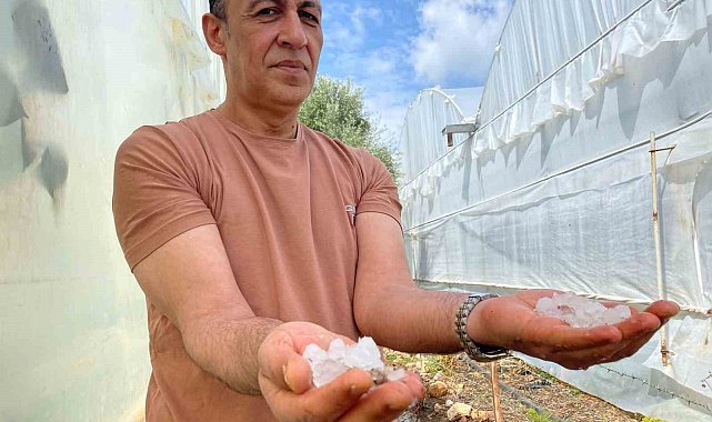 Yıldırım düşmesi sonucu yanan ağacı da yine dolu yağışı söndürdü