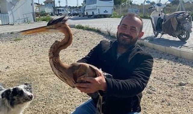 Yol kenarında bulduğu yaralı ergüvani balıkçıl kuşunu yetkililere teslim etti