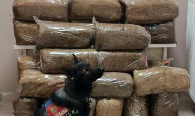 Yolcu otobüsünde kaçak tütün ele geçirildi