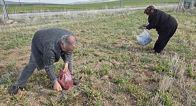 Yozgat'ta yemlik otu bereketi
