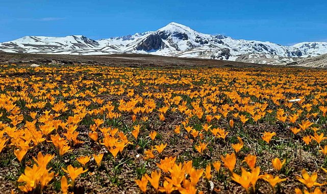 Yüksek rakımlı Geyik Dağları hayran bırakıyor