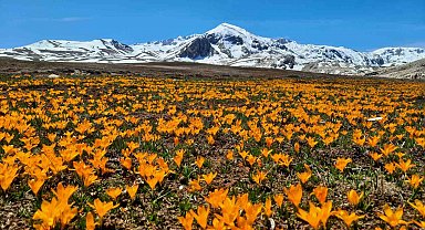 Yüksek rakımlı Geyik Dağları hayran bırakıyor