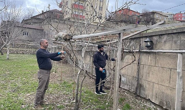 Yüksekova'da ağaçlar budandı, uygulamalı eğitim verildi