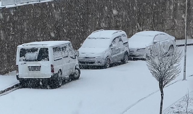 Yüksekova'da nisan ayında lapa lapa kar yağışı
