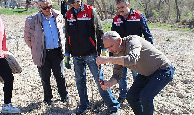 Yükümlüler ile meyve fidanlarında dikim budaması eğitimi yapıldı