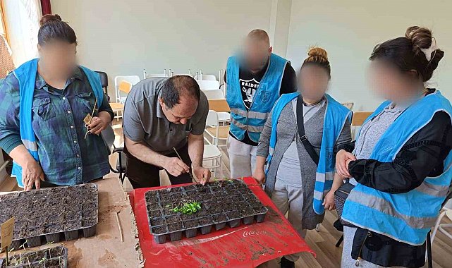 Yükümlülerin ektiği tohumlardan çıkacak ürünler ihtiyaç sahiplerine dağıtılacak