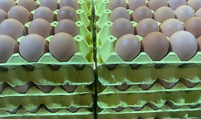 Yumurta fiyatları "mayıs çukuru" yaklaşınca düşüşe geçti