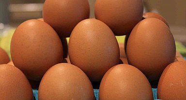 Yumurtada fiyatlar düşünce ihracatta fon kesintisinin kaldırılması istendi