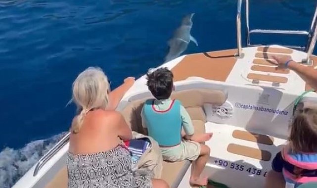 Yunuslardan Ölüdeniz'de muhteşem gösteri