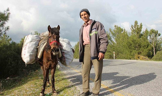 Zeki Amca'nın en büyük yardımcısı küheylanı