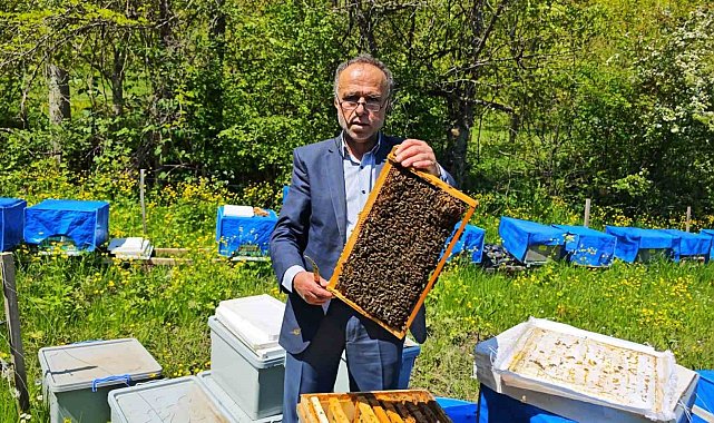 Zirai don Artvin'de arıcılığı vurdu, bu sezon bal üretiminde yüzde 60'a varan kayıp bekleniyor
