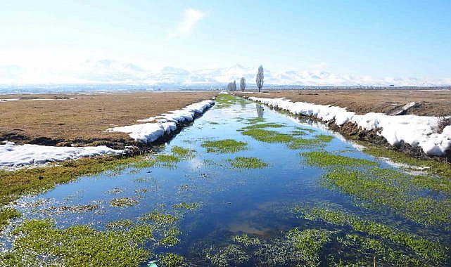 Zirai don tehlikesi sürüyor