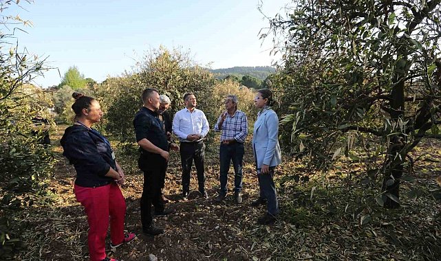 Zirai don zararını azaltmak için narenciye üreticilerine gübre dağıtıldı