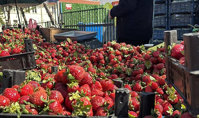 Zirai donun ardından pazarda çilek bolluğu