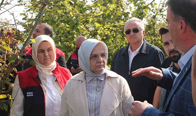 Zirai donun etkilediği yerde inceleme