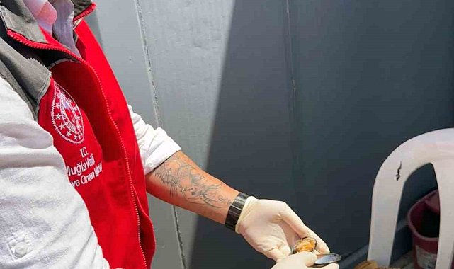 100 Kilogram sağlıksız midyeye el konuldu