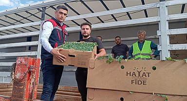 'Domates Yetiştiriciliğinin Geliştirilmesi' projesi sürüyor