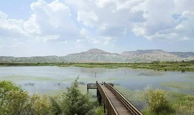 'Nilüfer Cenneti' olarak bilinen o göl sportif olta balıkçılığına açıldı