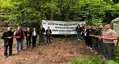 4 bin adet savaşçı böcek salındı