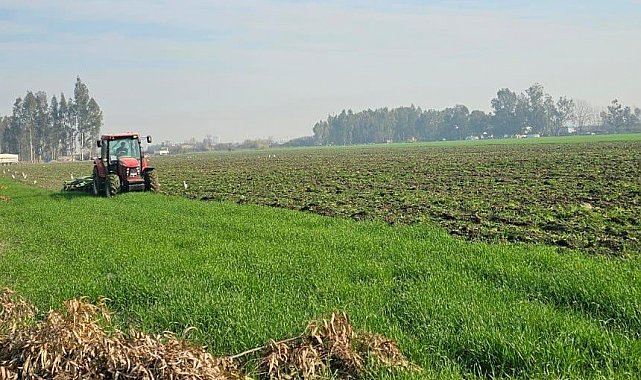 41 hektarlık ormanı tarım alanına dönüştürmeye çalıştılar, zamanında müdahale engel oldu