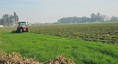 41 hektarlık ormanı tarım alanına dönüştürmeye çalıştılar, zamanında müdahale engel oldu