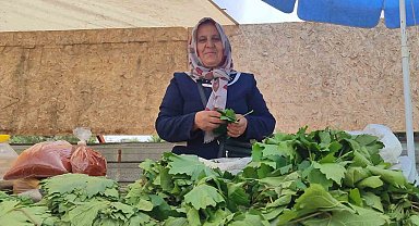5 çocuk annesi, asma yaprağı satarak aile ekonomisine destek oluyor