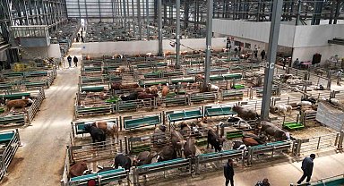 5 yılda 2 milyon kişi ziyaret etti