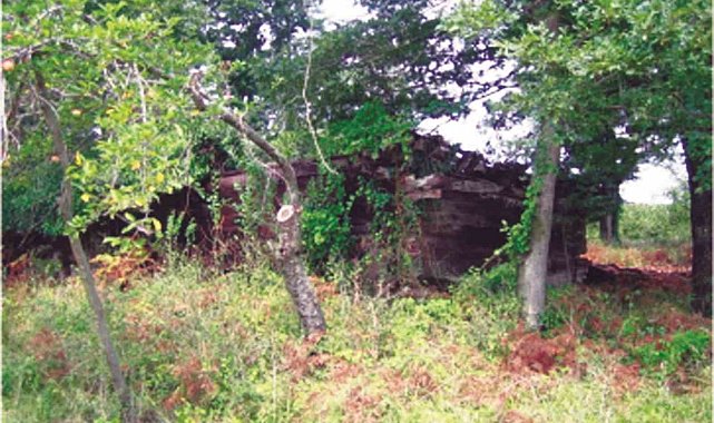 700 yıllık tarihi miras yeniden hayat buluyor