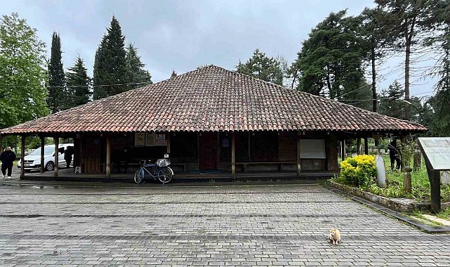 8 asırlık ahşap camide kokarca istilası