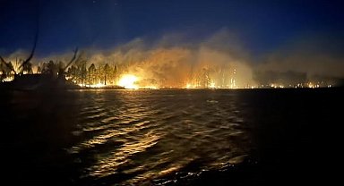 ABD'de orman yangını: 20 bin 425 dönümlük alan kül oldu