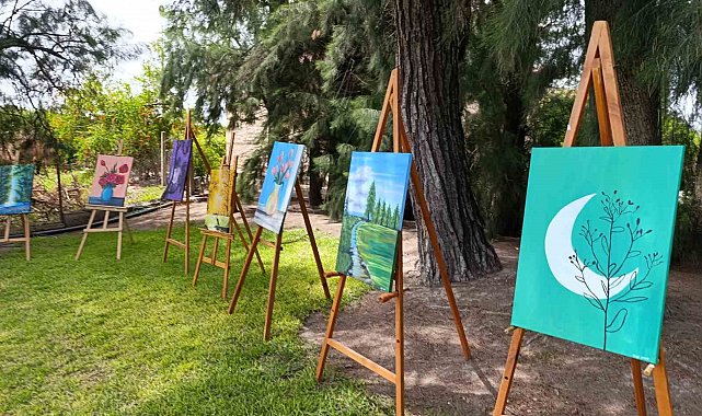 Adana'da 13 yaşındaki ikizler sergi açtı