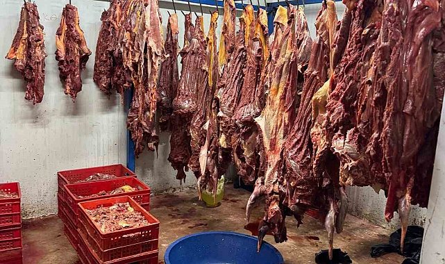 Adana'da 3 ton bozulmuş at eti ele geçirildi
