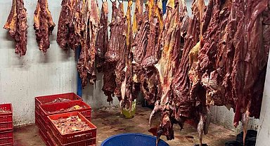 Adana'da 3 ton bozulmuş at eti ele geçirildi