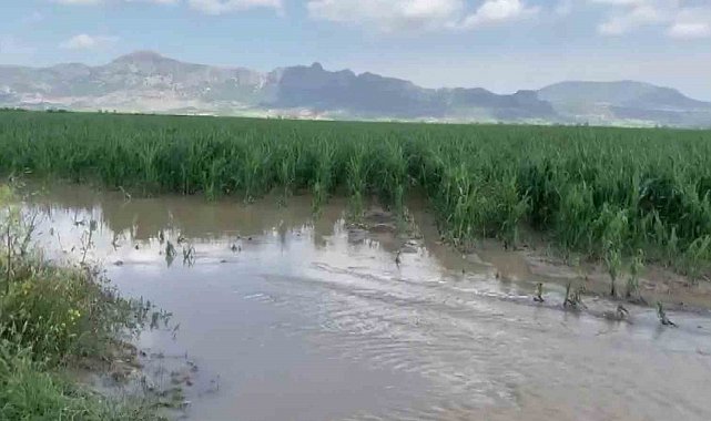 Adana'da şiddetli yağmur ve dolu, tarım ürünlerine zarar verdi