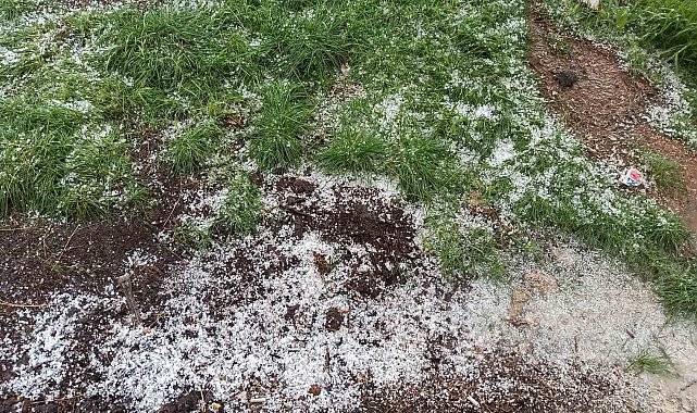 Afşin'de dolu tarım arazilerine zarar verdi