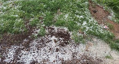 Afşin'de dolu tarım arazilerine zarar verdi