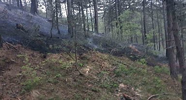 Afyonkarahisar'da orman yangını