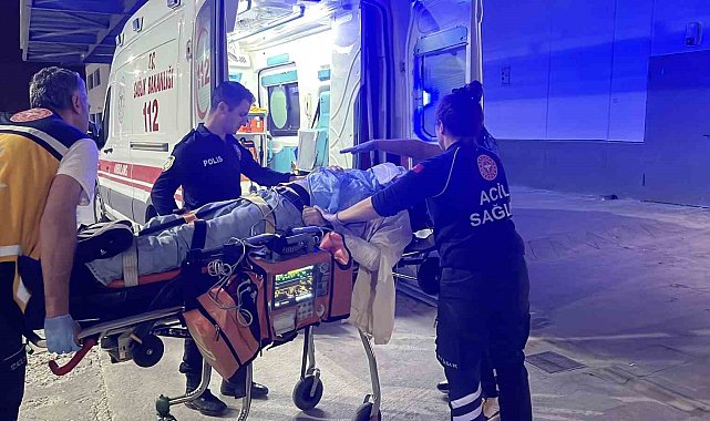 Ağaca çarpan otomobilin sürücüsü ağır yaralandı