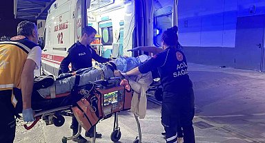 Ağaca çarpan otomobilin sürücüsü ağır yaralandı