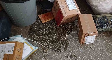 Ağrı PTT Kargo şubesinde su baskını: Önlem alınmadı, gönderiler zarar gördü