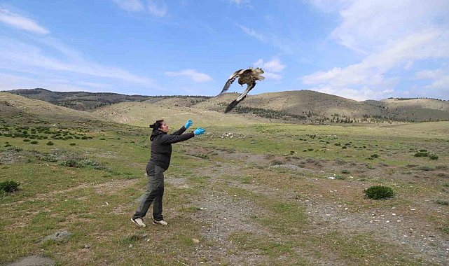 Akbaba Midas 101 bin kilometre uçtu