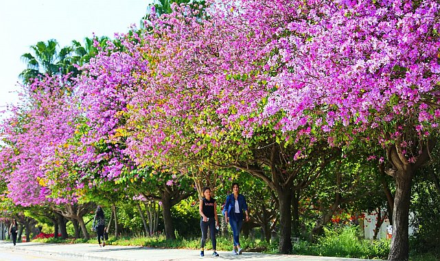 Akdeniz Üniversitesi Çevre Hizmet Ödülleri açıklandı