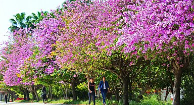Akdeniz Üniversitesi Çevre Hizmet Ödülleri açıklandı